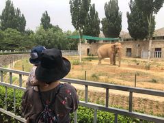 -石家庄市动物园