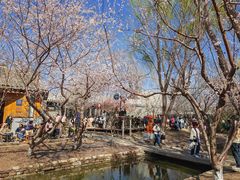 -三里河公园
