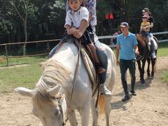 -太阳岛度假酒店