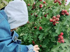 -万源龙顺度假庄园生态观光园