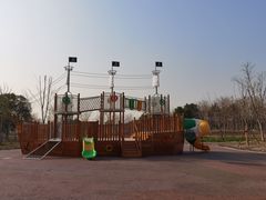-上海滨江森林公园