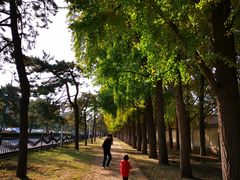 -钓鱼台国宾馆