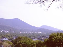 -香雪海