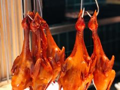 -鸽子侯·家宴·平价海鲜(市图书馆店)