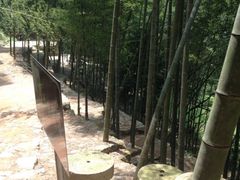 iphone_upload_pic-千泷沟大瀑布旅游区