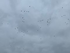 -仙海旅游度假区