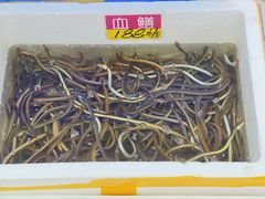 -华源餐厅·海鲜大排档(日月贝店)