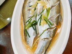 清蒸白鱼-观桥阁(锦溪店)