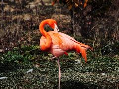 -杭州野生动物世界