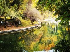 -朝阳公园