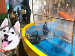 -中国杭州低碳科技馆
