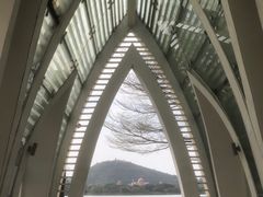 -顺峰山公园