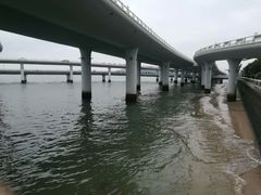 -演武大桥观景平台