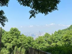 -南山植物园