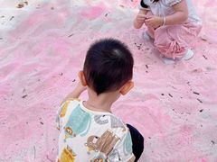 -梅州雁山湖国际花园度假区