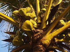 -三亚海棠湾万丽度假酒店