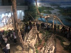 -自贡恐龙博物馆