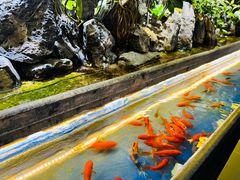 -汉九宫牛肉面·清真(兰州市自来水总公司住宅楼店)