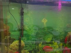 -雅悦齿科(顾村公园店)