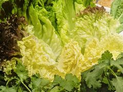 -快乐小羊·内蒙牛羊肉火锅(流花中心店)