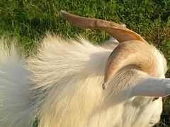 -乡乐园蟹庄·阳澄湖农家乐