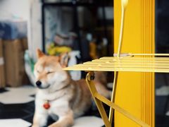 -About Bistro關於·泰式家庭料理