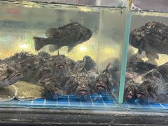 -隐厨·海鲜餐厅(恒通路店)