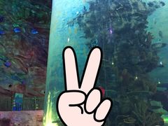 -青岛嘉年华主题乐园