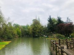 -桤木河湿地公园