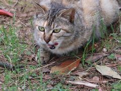 -敬亭山风景名胜区