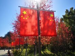 -万泉公园