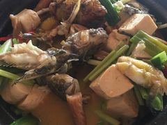 黄骨鱼煲-食汇坊饭店