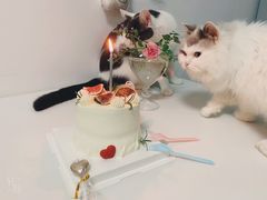 -小麦穗私人订制蛋糕·甜品台(万达店)