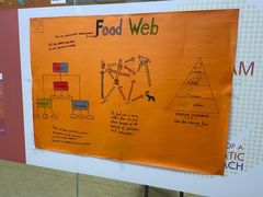 -瑞思英语·少儿英语启蒙(和平·国际商场示范校区)