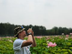 -东郊湿地公园