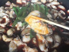 -都江堰石锅鱼