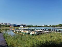 -廊坊文化艺术中心