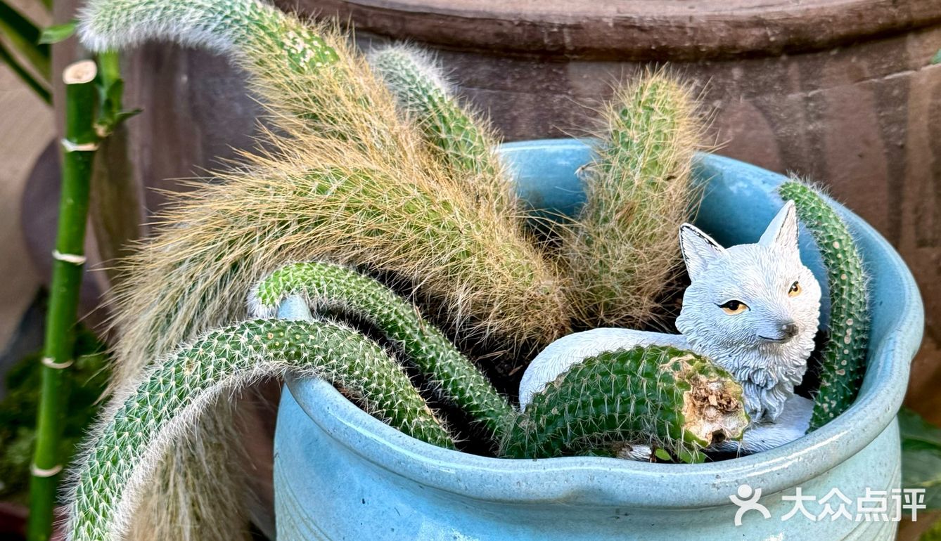 乡村周末🍃田园风味在舌尖 😋