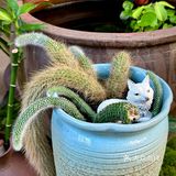 乡村周末🍃田园风味在舌尖 😋