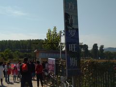 -北京东方普罗旺斯薰衣草庄园