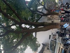 -非遗近水楼糕团(景德路店)