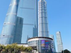 -智慧盲人按摩艾灸-颈肩腰膝疼痛调理(浦东店)