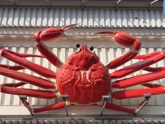 -蟹道乐(道顿堀本店)