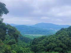 -广州市帽峰山景区