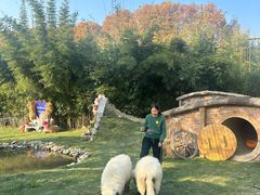 -HERRE·FARM 赫尔露营农场·团建聚会包场