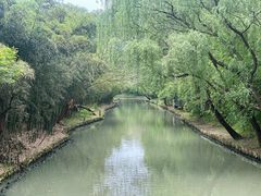 -同里国家湿地公园