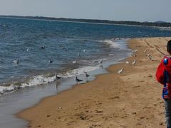-金梦海湾浴场