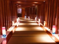 -重庆南山海昌汤都