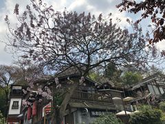 -贵阳市花溪国家城市湿地公园