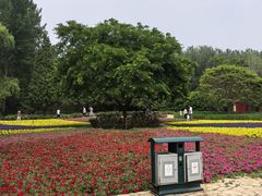 -秦皇岛野生动物园